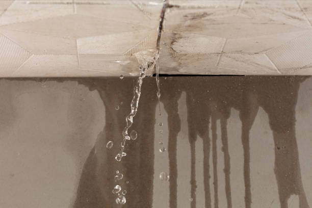 Professional Water Damage Repair technician working in Bartlett, TX
